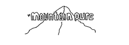 MOUNTAIN PURE trademark