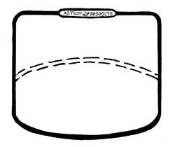 ACTION PRODUCTS trademark