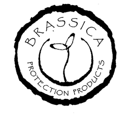 BRASSICA PROTECTION PRODUCTS trademark