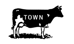 TOWN trademark