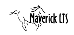 MAVERICK LTS trademark