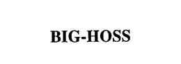 BIG-HOSS trademark