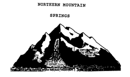 NORTHERN MOUNTAIN SPRINGS trademark
