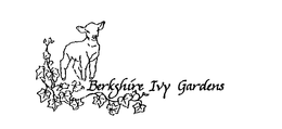 BERKSHIRE IVY GARDENS trademark