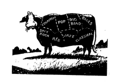 COUNTRY, SOFT ROCK, POP, R & B, BIG BAND, JAZZ, BLUES, CLASSICAL trademark