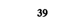 39 trademark