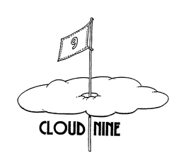 CLOUD NINE trademark