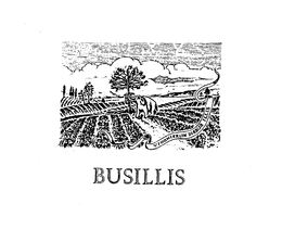 BUSILLIS VIOGNIER IN DIEBUS ILLIS trademark