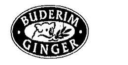 BUDERIM GINGER trademark