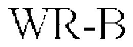 WR-B trademark