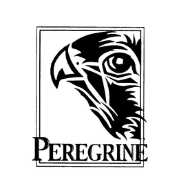 PEREGRINE trademark