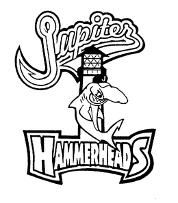 JUPITER HAMMERHEADS trademark