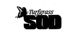 TURFGRASS SOD trademark