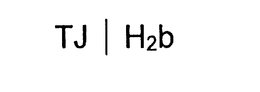 TJ/H2B trademark
