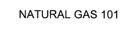 NATURAL GAS 101 trademark