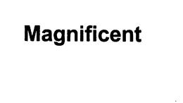 MAGNIFICENT trademark