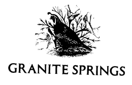 GRANITE SPRINGS trademark