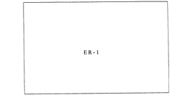ER-1 trademark