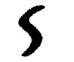 S trademark