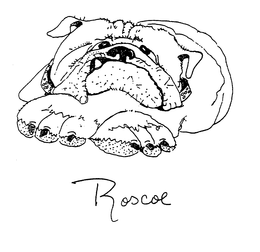 ROSCOE trademark