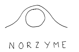 NORZYME trademark
