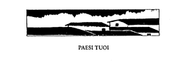 PAESI TUOI trademark