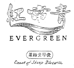 EVERGREEN EXACT OF SHEEP PLACENTA trademark