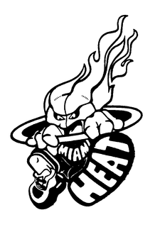 MIAMI HEAT trademark