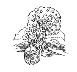 KENNESAW FRESH SQUEEZED ORANGE JUICE trademark