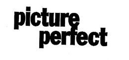 PICTURE PERFECT trademark