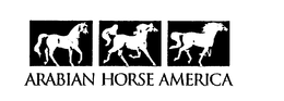 ARABIAN HORSE AMERICA trademark