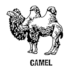 CAMEL trademark