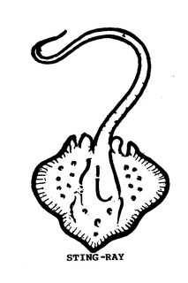 STING-RAY trademark