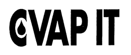 CVAP IT trademark