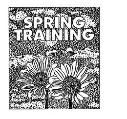SPRING TRAINING trademark