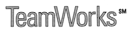 TEAMWORKS trademark