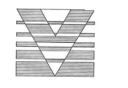 V trademark