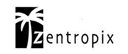 ZENTROPIX trademark