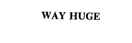 WAY HUGE trademark