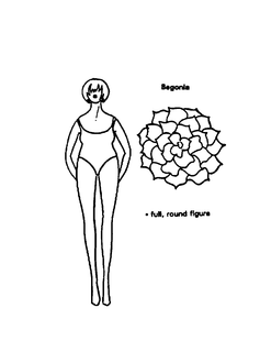 BEGONIA - FULL, ROUND FIGURE trademark