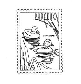 PARADUXX BUFFLEHEADS trademark