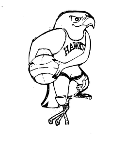 HAWKS trademark