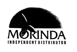MORINDA INDEPENDENT DISTRIBUTOR trademark