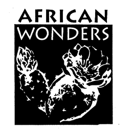 AFRICAN WONDERS trademark