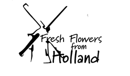FRESH FLOWERS FROM HOLLAND trademark