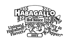 HABAGALLO BRAND HOT SAUCE UNIQUE HABANERO FLAVOR! "IT'S IN THE PEPPER!" HOT trademark