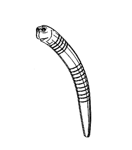 LogoMark trademark
