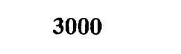 3000 trademark