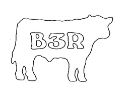 B3R trademark