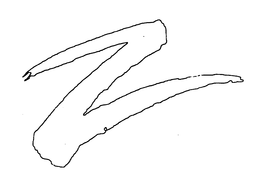 Z trademark